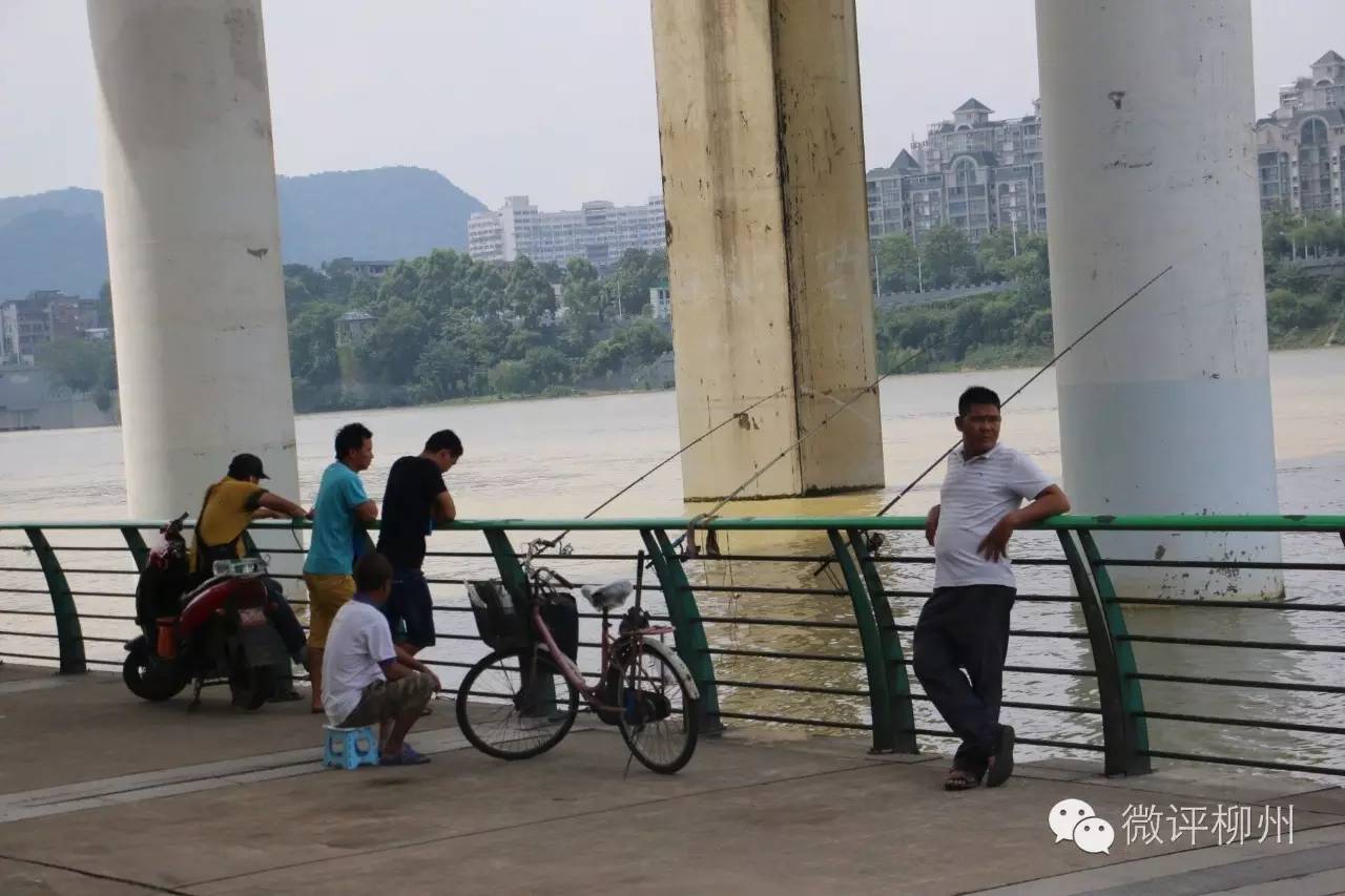 桥底滨水空间,桥底空间利用