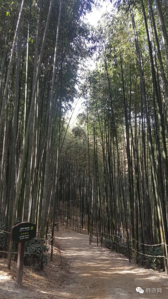 老司机的韩国南部深度游！老司机请带带我这才叫旅游！