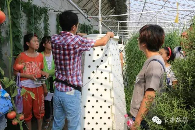 神奇大观园——农场变形记