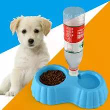 狗狗领回家多久可以训练呢,狗狗新手上路请多关照