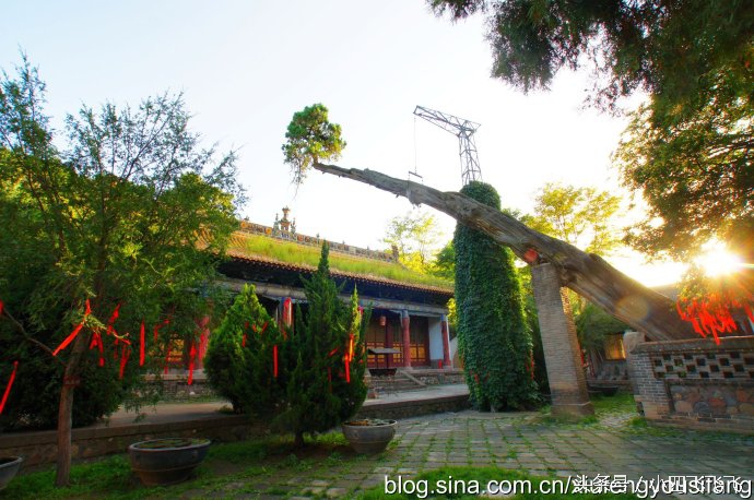 天水到宝鸡有什么旅游景点,天水适合老人旅游的景点排行榜