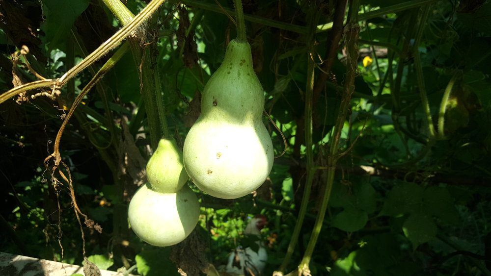 乐亭碧海渔家,乐亭碧海渔家怎么样