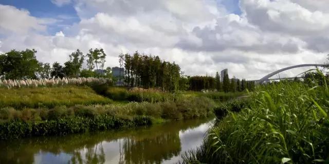 上海十大有意思的小众地方,上海五大超冷门景点却值得一去