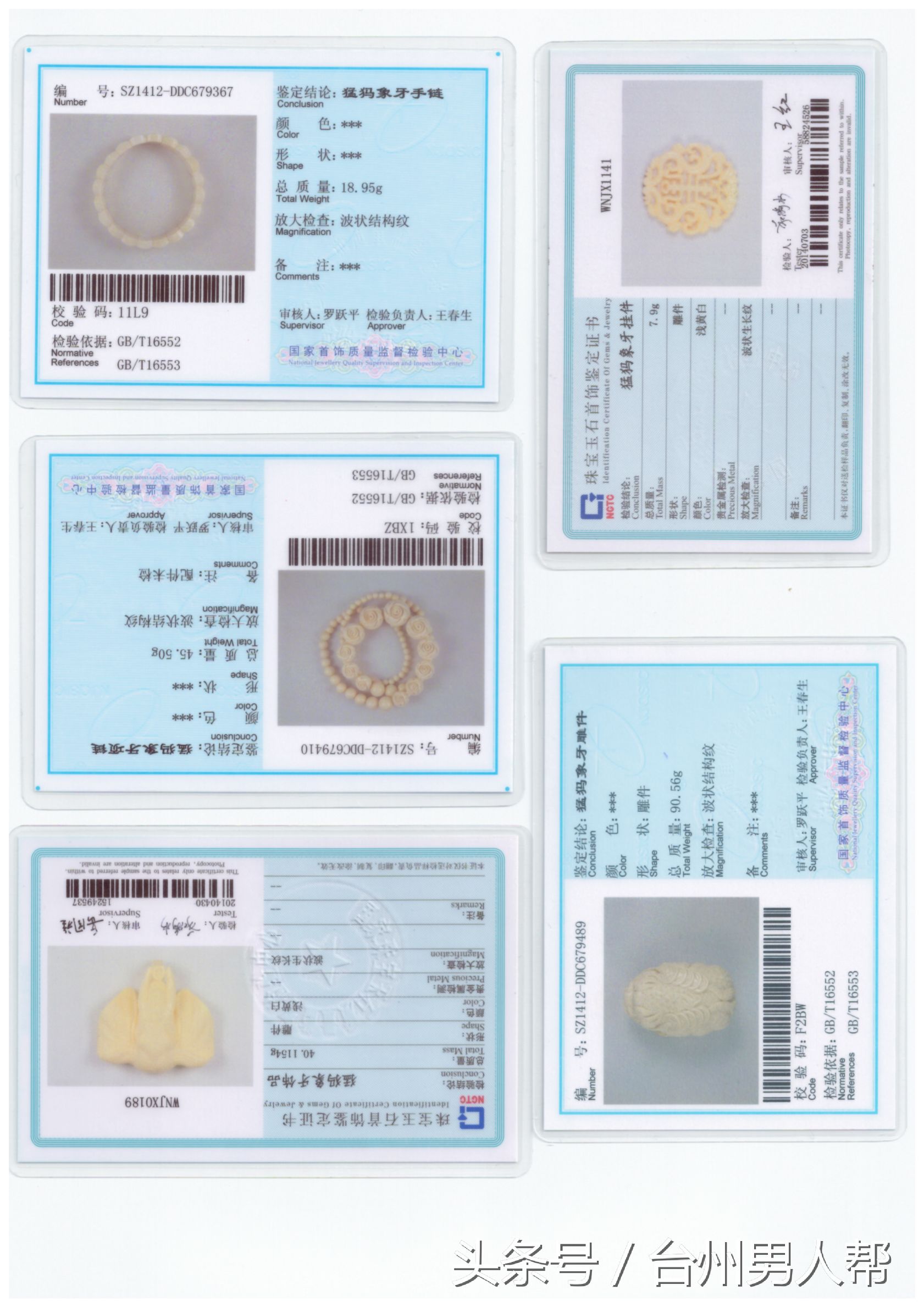 冰封数万年的猛犸象,藏传老猛犸象牙