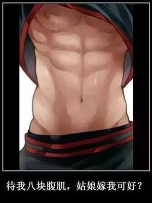 滚出腹肌，滚走肥肉，健腹轮。