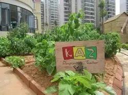 湖南最牛幼儿园排名价格,长沙最好的10所幼儿园