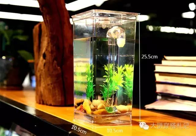 租房提升家居幸福感的小物件,租房实用的小物