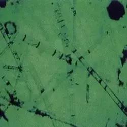 全世界最大最好看的珍珠,世界上最美的彩色宝石珍珠