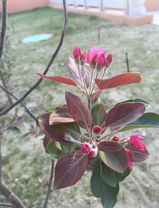 海马s5试驾越野,试驾海马s5