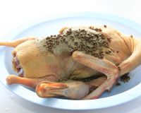 南京桂花鸭盐水鸭,南京韩复兴桂花鸭