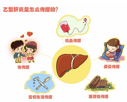 大三阳和小三阳饮食会传染吗,大三阳和小三阳吃饭会传染吗