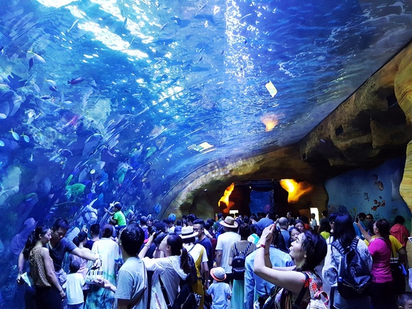 珠海长隆让人尖叫的海洋王国,珠海长隆海洋王国之绚丽多彩