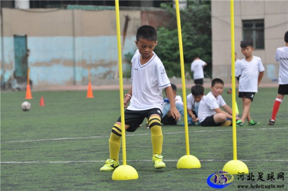 2016年河北省男子足球07/08年龄段足球夏令营现场图集