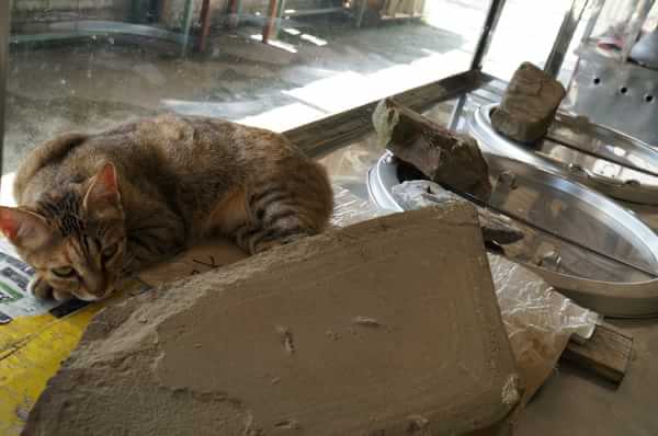 在台湾流浪14天~火星人的环岛路线！