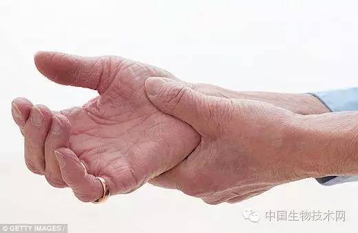 牛油果绿优点,牛油果的优点