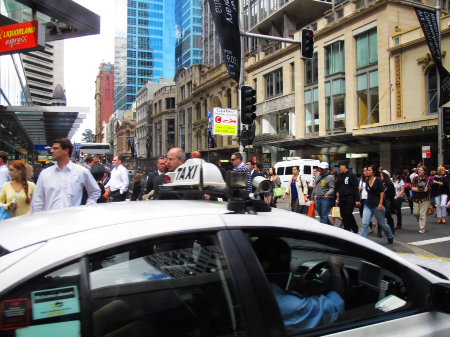 悉尼是啥味道,悉尼盐蚝