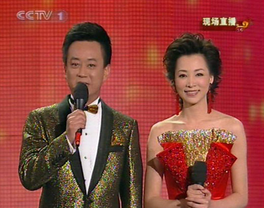 猴年央视春晚主持人,猴年春节联欢晚会主持人
