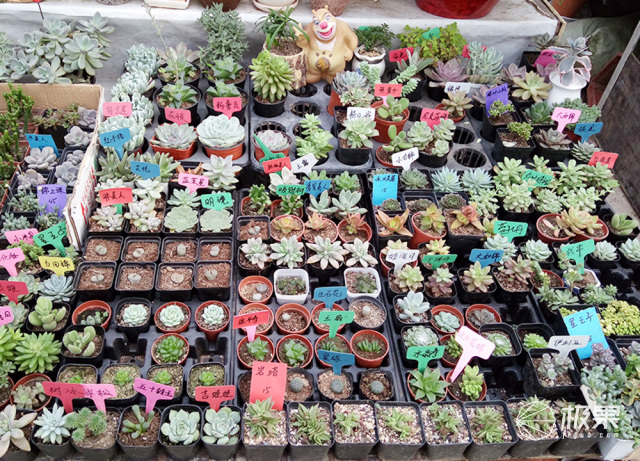 有没有跟iphone一样的手机,和iphone外观相似的安卓机