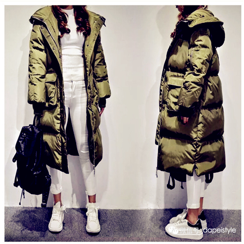 北方的佳人 (北方有佳人背影)