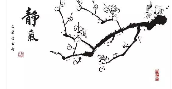 看梅花的千姿百态,看各种梅花