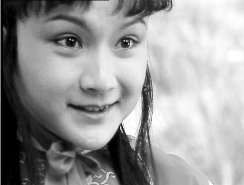 红楼梦中有许多谐音,红楼梦中的谐音隐喻