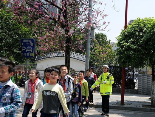 柳州交警城中,柳州市城中区交警支队