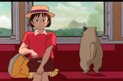 动漫卡通猫的名字,可爱动漫猫图片