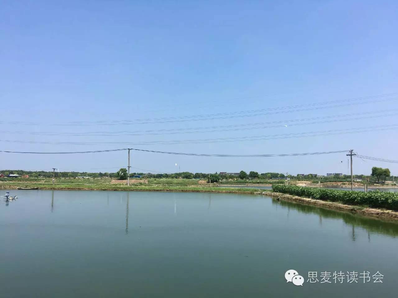 书友佳作｜隐逸在吴江世外桃源的老桥