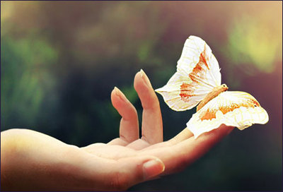 今天你做胎梦了吗？