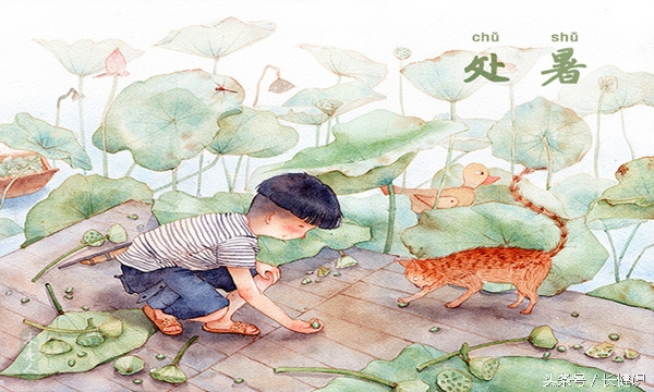 处暑节气吃什么食物最好,处暑吃什么食物养生