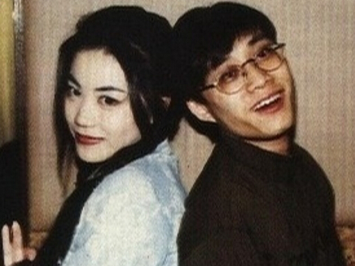 王菲人间理想,王菲人间别样景致