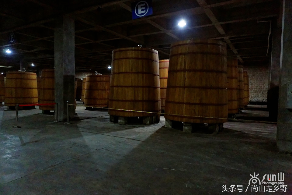 走进红酒庄园,走进葡萄庄园