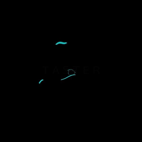 一加银耳2功能,一加银耳3是什么时候发布的