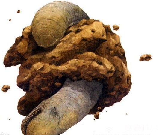 900米长的太空蛞蝓,比太空蛞蝓大的怪物有哪些