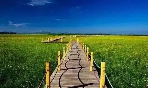 保定周边免费看红叶最佳旅游地点,保定周边一日游看红叶自驾游