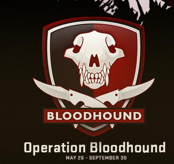 反恐精英全球攻势5年回顾,反恐精英全球攻势进化史