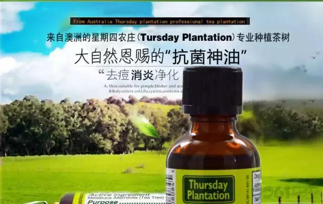 澳洲星期四精油祛痘 (澳洲星期四茶树精油祛痘霜)