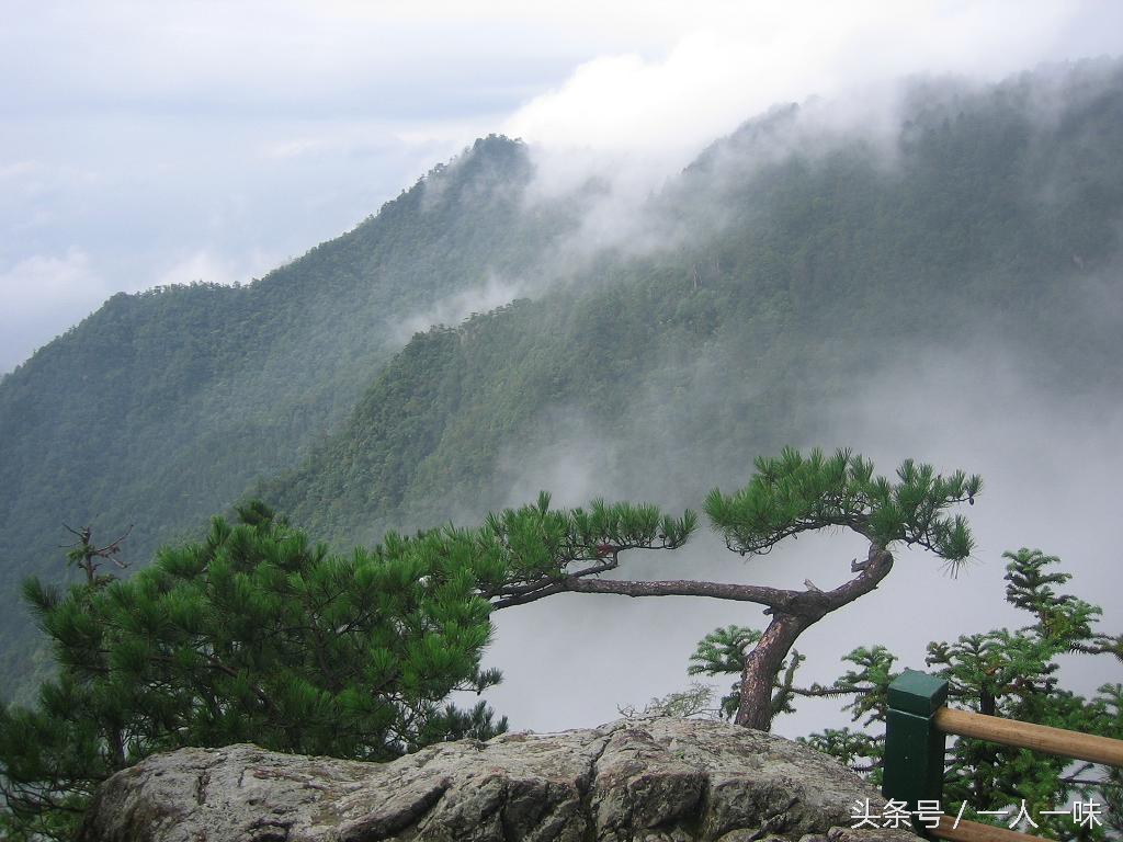 天目山必去八个景点,天目山必去三大景点