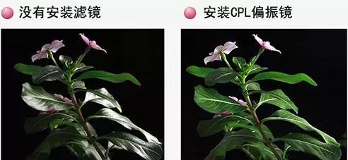 相机配什么滤镜,大疆运动相机各种滤镜效果