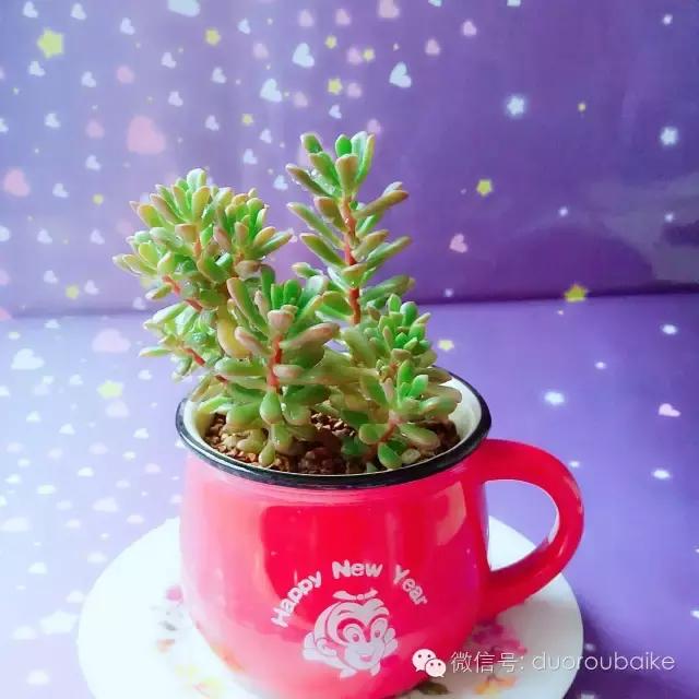 入坑就不能自拔,入坑后无法自拔