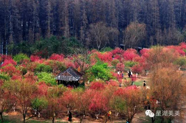 广东肇庆风水大势分析,肇庆风水大揭秘