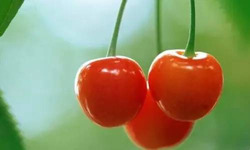 初中英语易混淆单词,十大容易读错的英语句子