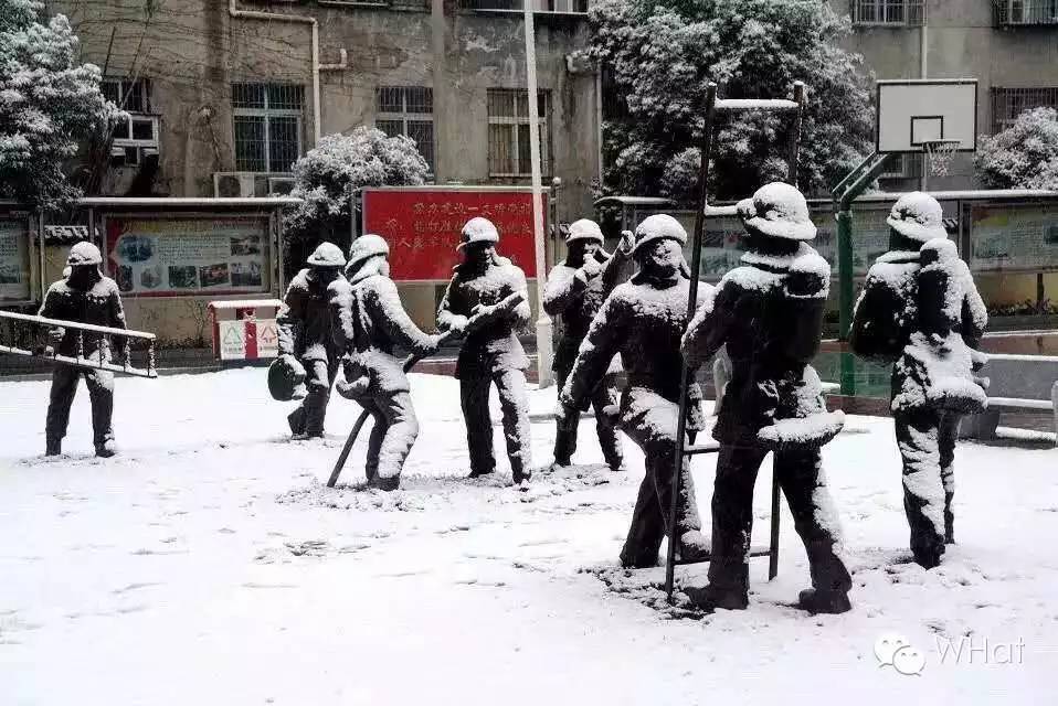 武汉只下一天雪吗,武汉下的是雪吗