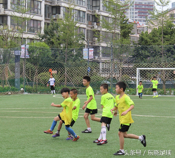 东晓足球,临沂绿荫足球俱乐部电话