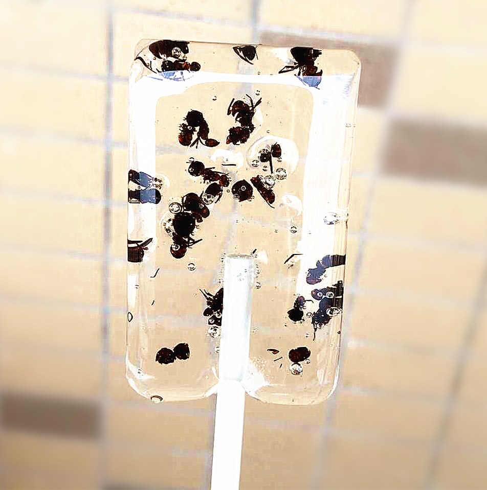 某宝上买的丑东西,某宝买的东西被卖家骂