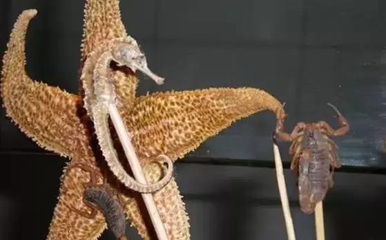 世界十大最刺激旅行,世界十大必试旅行体验