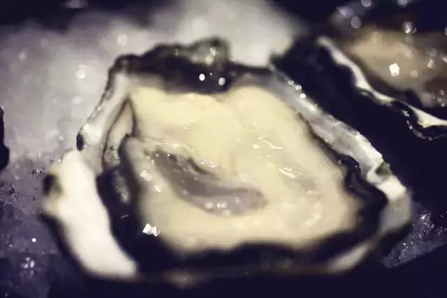 蚝门盛宴有哪些,正宗蚝门盛宴视频