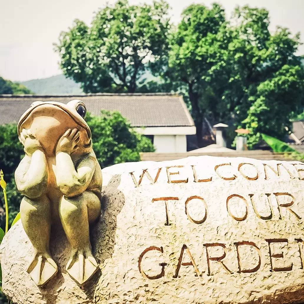 文艺女青年的四大归宿,文艺女青年喜欢去的地方有哪些