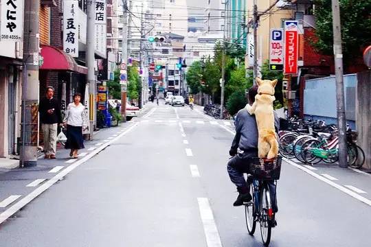 全日空购票攻略,全日空1500往返机票