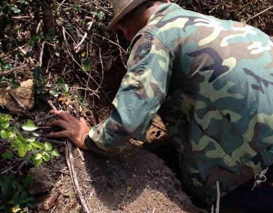 文玩带来了什么,文玩行业有多赚钱